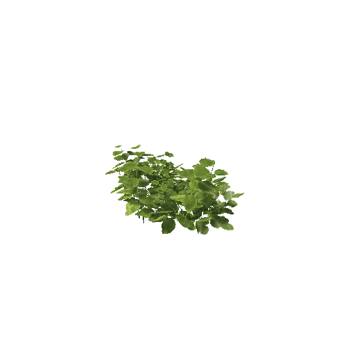 Plant 30_LOD_1